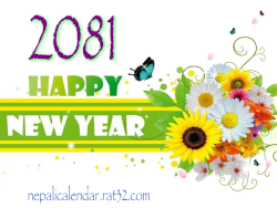 Download Happy new year 2081 wish