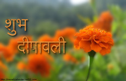 Download tihar ecards, photos,images,suvakamana messages