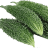 Bitter Gourd price in Nepal today