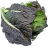 Brd Leaf Mustard price in Nepal today