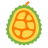 Jack Fruit price in Nepal today